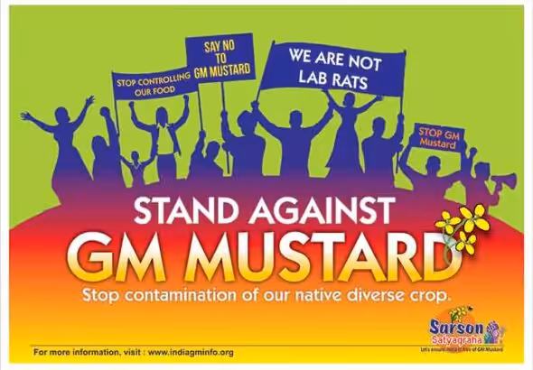 GM-Mustard