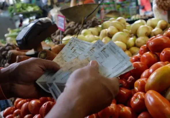 A person counting money at a vegetable market in Venezuela. Photo: Javier Campos/NurPhoto/Gettyimages.ru/File photo.