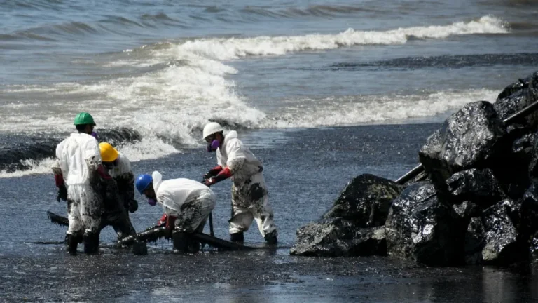 Workers of Heritage Petroleum Oil and Gas Company clean up the oil spill that reached Rockly Bay beach, in Scarborough, southwestern Tobago, Trinidad and Tobago, February 11, 2024. Photo: AP/Akash Boodan.
