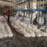 Aid arrives at UNRWA facility in Jabalia, northern Gaza, march 17, 2024. Photo: Ashraf Amra/APA images.