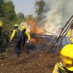 Venezuelan firefighters controlling a wildfire. Photo: X/@MijpVzla.