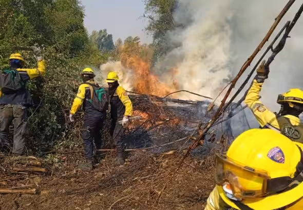 Venezuelan firefighters controlling a wildfire. Photo: X/@MijpVzla.