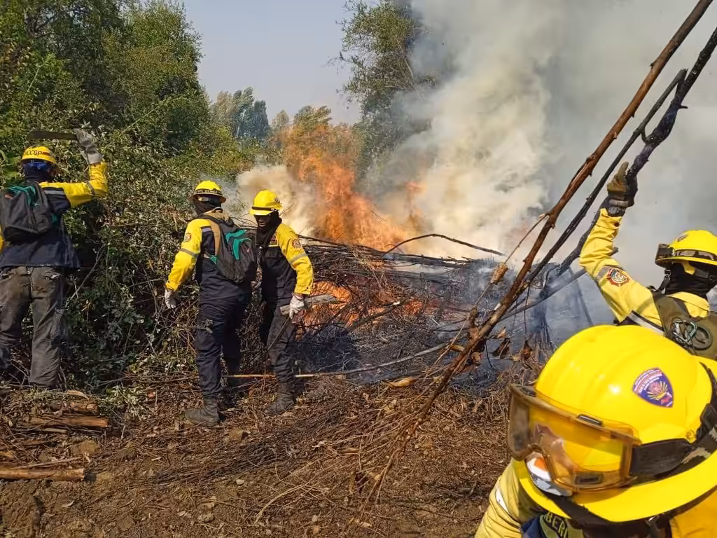 Venezuelan firefighters controlling a wildfire. Photo: X/@MijpVzla.