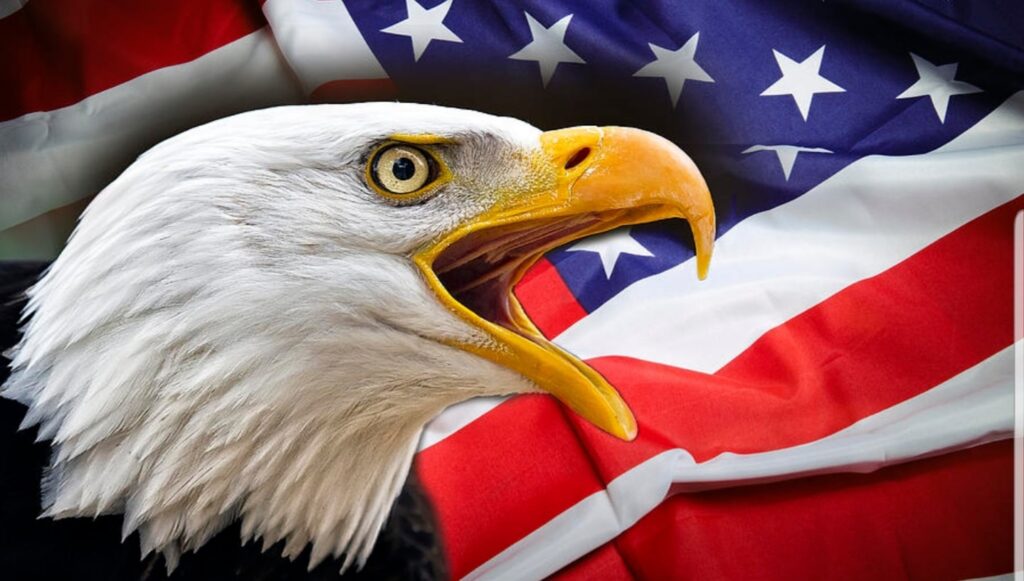 Bald Eagle with a flag of the US regime in the background. Photo: File photo.