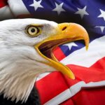 Bald Eagle with a flag of the US regime in the background. Photo: File photo.