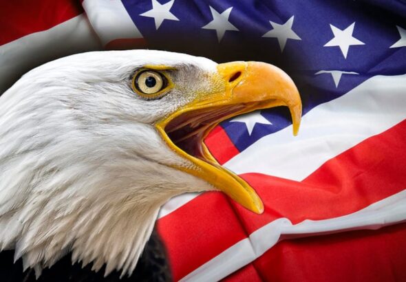 Bald Eagle with a flag of the US regime in the background. Photo: File photo.