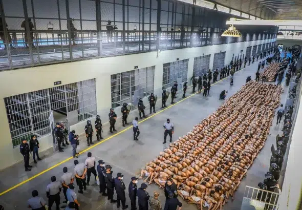 A group of detainees being transferred to a new prison in El Salvador. Photo: Office of the President of El Salvador.