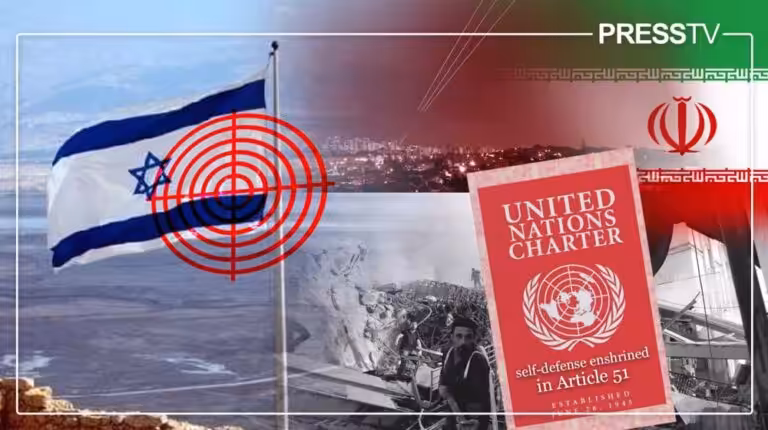 d4d3d169-a13d-44b8-998c-35950a1902cd