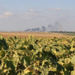Kibbutz fields near Nahal Oz on the Israeli border with Gaza. Photo: Amir Tayeboun.