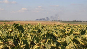 Kibbutz fields near Nahal Oz on the Israeli border with Gaza. Photo: Amir Tayeboun.
