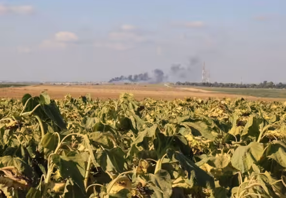 Kibbutz fields near Nahal Oz on the Israeli border with Gaza. Photo: Amir Tayeboun.