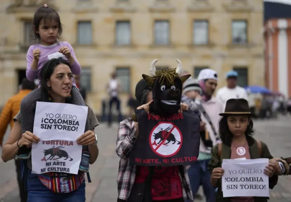 Animal rights activists protest against bullfighting, in Plaza Bolívar, Bogotá, Colombia, May 7, 2024. Photo: Fernando Vergara/AP.