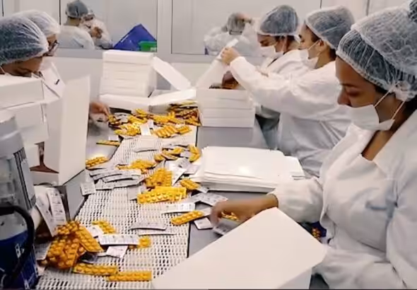 Workers in a pharmaceutical production line. Photo: File photo.