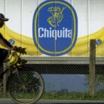 A farmer rides a bike loaded with plantains next to a truck with the logo of the US corporation Chiquita Banana. Photo: Esteban Felix/AP.