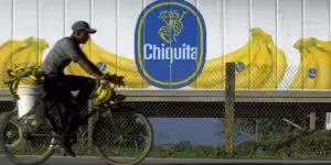 A farmer rides a bike loaded with plantains next to a truck with the logo of the US corporation Chiquita Banana. Photo: Esteban Felix/AP.