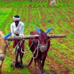 Representational Image. Photo: Wikimedia Commons.