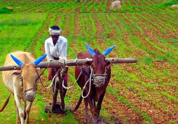 Representational Image. Photo: Wikimedia Commons.