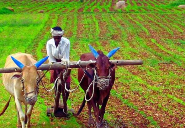 Representational Image. Photo: Wikimedia Commons.