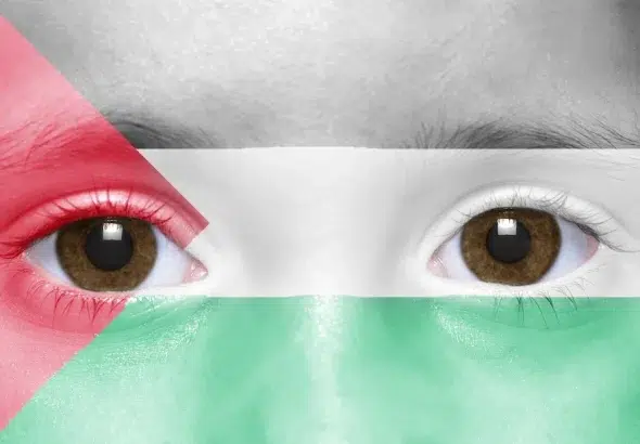 Palestinian flag over a face. Photo: Caitlin Johnstone.