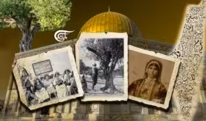 58fdaf7c-aeec-4e57-a560-e2bc4598c03f