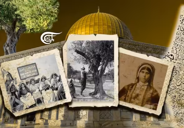 58fdaf7c-aeec-4e57-a560-e2bc4598c03f