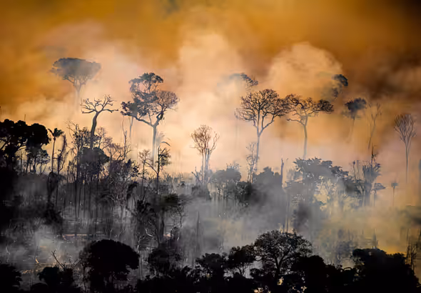 Forest next to the limits of the Kaxarari indigenous territory, in Lábrea, Amazonas state, during the 2020 burning season in the Brazilian Amazon. Photo: Christian Braga/Greenpeace.