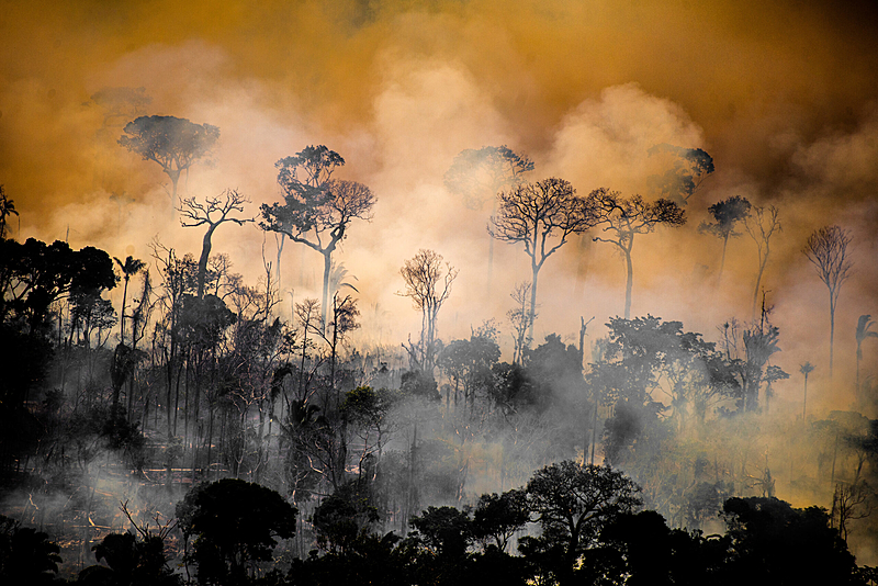 Forest next to the limits of the Kaxarari indigenous territory, in Lábrea, Amazonas state, during the 2020 burning season in the Brazilian Amazon. Photo: Christian Braga/Greenpeace.