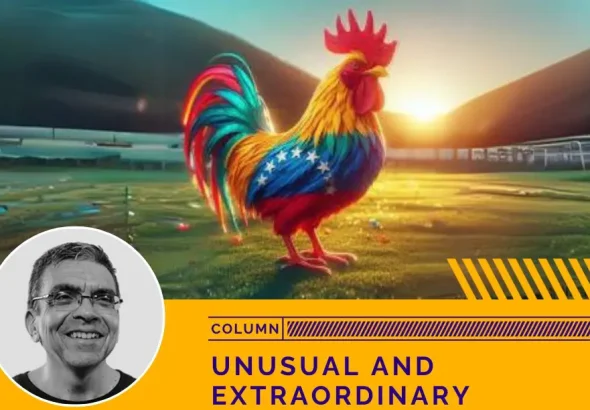 Nicolás Maduro is often represented by Chavistas as a colorful rooster. Photo: Venezuelanalysis.