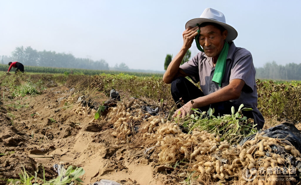 Asian farmer seated on a field cleaning sweat from his forehead. Photo: Sohu.com