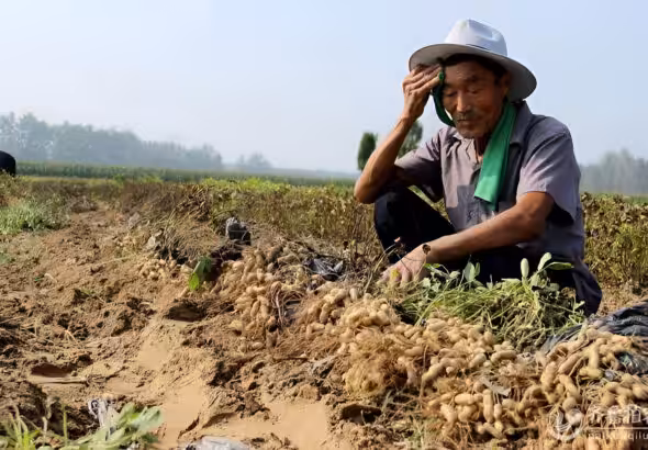 Asian farmer seated on a field cleaning sweat from his forehead. Photo: Sohu.com
