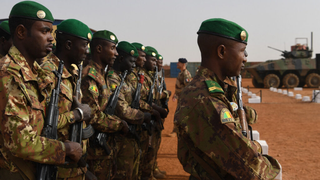 Malian soldiers formed for a military ceremony. Photo: Alain Jocard/AFP/file photo.