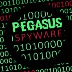 Software-Pegasus.jpg-768x432