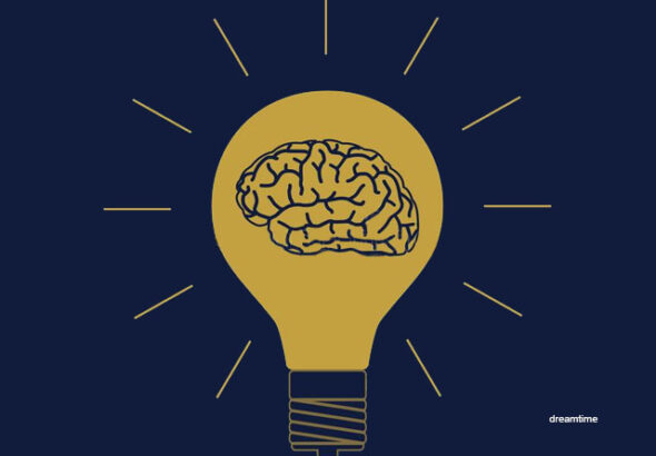 A drawing of a brain in a light bulb. Photo: La Iguana.