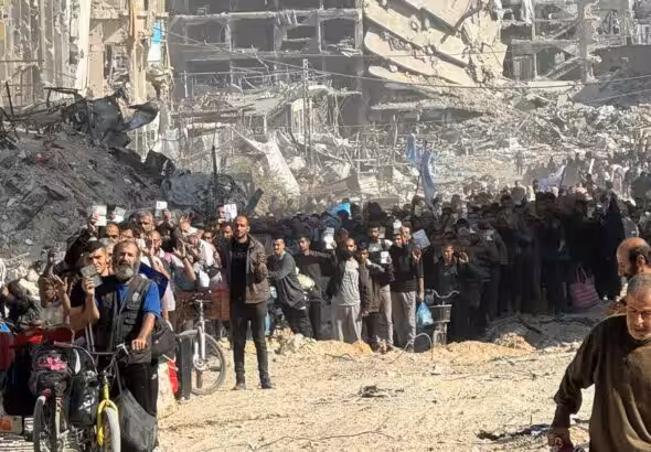 895dd448-bbad-47b9-8ef4-a7eed4a59ca3_900x1200