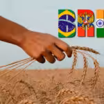 BRICS logo in the background of a grain field. Photo: Russia's Pivot to Asia.