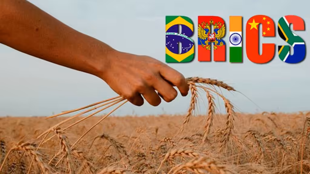 BRICS logo in the background of a grain field. Photo: Russia's Pivot to Asia.