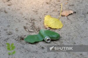 The PMF-1 Lepestok (Petal) antipersonnel pressure-type landmine, found by service members of militia of Donetsk People's Republic, is seen on the road in the course of Russia's military operation in Ukraine, near the village of Izbytske, Kharkiv region, Ukraine. Photo: Viktor Antonyuk/Sputnik.