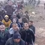 2097c166-ce99-4e8c-bdf3-c9a14609fa76_528x967