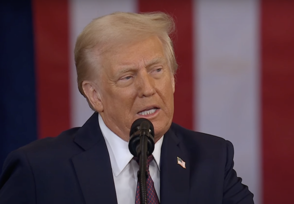 Donald Trump, US President. Photo: Caitlin Johnstone/File photo.