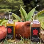 Bottles of cocuy in front of the agave plant it is produced from. Photo: Twitter/Alba Ciudad.