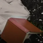 https2F2Fapi2Fpost_preview2Ftwitter