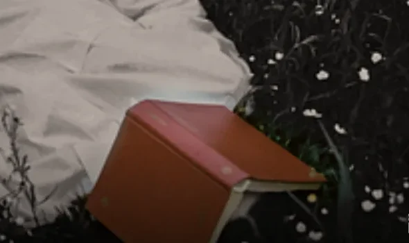 https2F2Fapi2Fpost_preview2Ftwitter