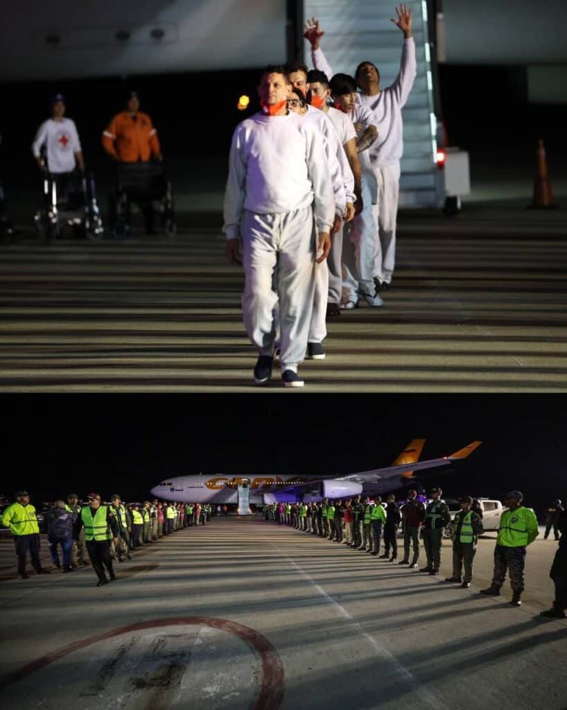 5026393861823508346 (1)