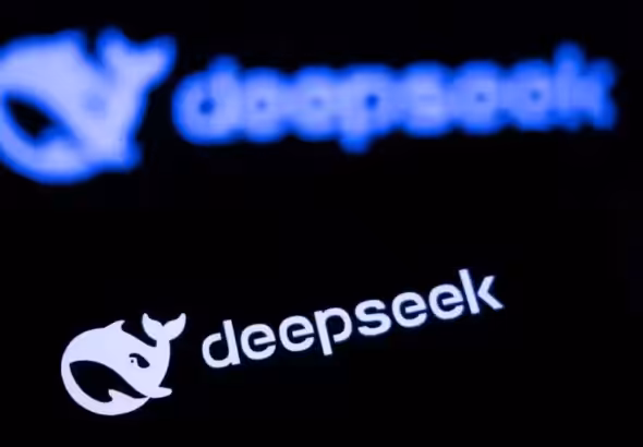 DeepSeek logo. Photo: Global Times.
