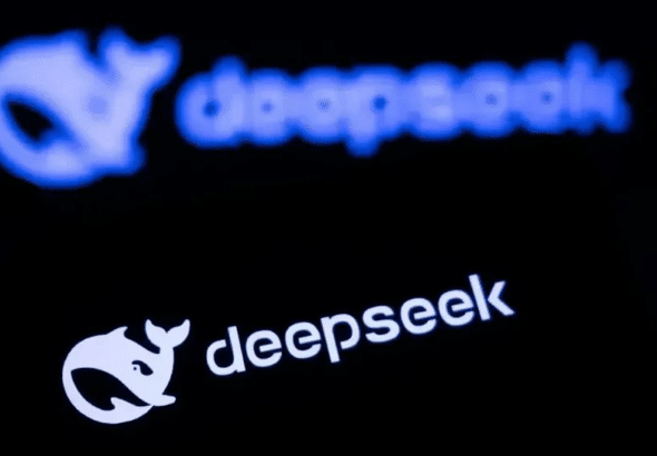 DeepSeek logo. Photo: Global Times.