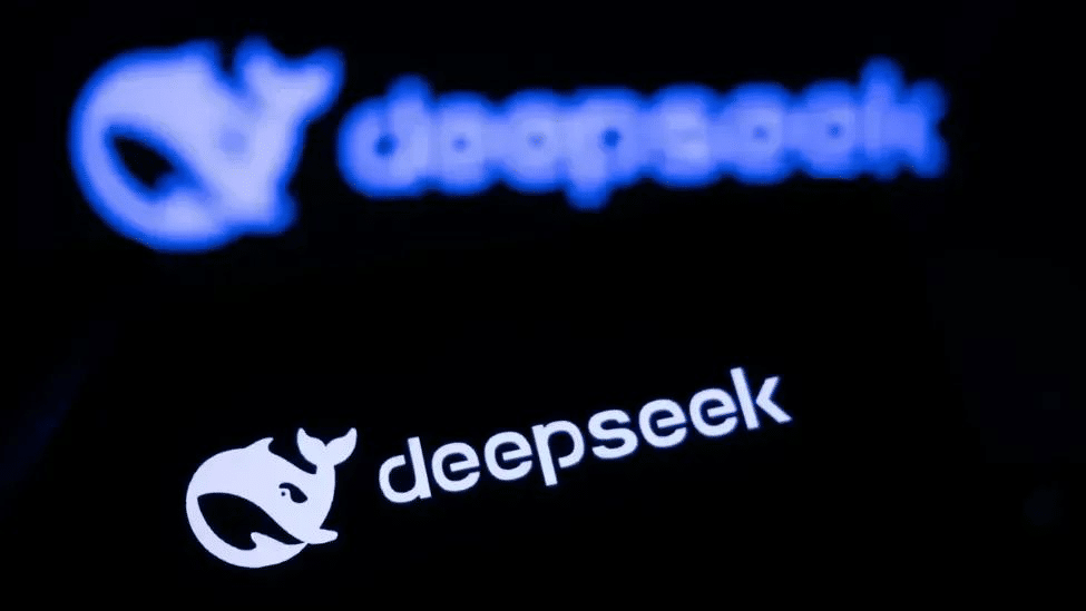 DeepSeek logo. Photo: Global Times.