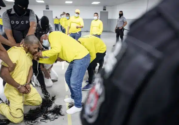 One deported migrant during his arrival at the mega-prison in El Salvador. Photo: Government of El Salvador.