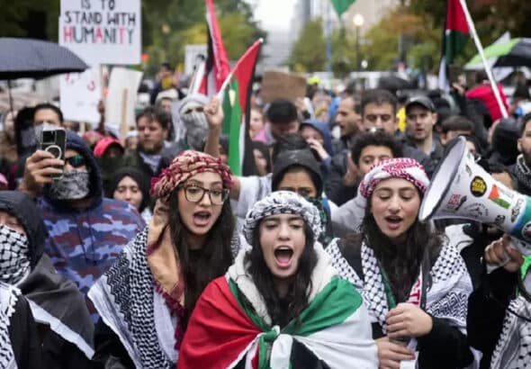 Pro-Palestine student protests in Washington, on October 14, 2023. Photo: AP.