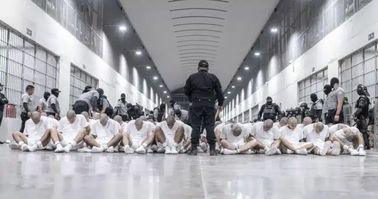 Venezuelan migrants being treated as terrorists by Salvadoran security agents at the infamous CECOT prison. Photo: El Salvador Presidential Press Office