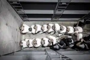 Venezuelan migrants, unjustly accused of belonging to the Tren de Aragua and deported by the US government, are detained and subjected to inhuman treatment at the Terrorism Confinement Center in Tecoluca, El Salvador. Photo: El Salvador Presidential Press Office.